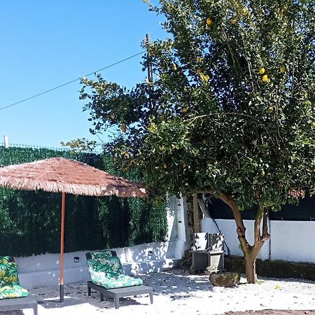 Casa Amelia 1ªp A 50 M Camino De Santiago Vila Padrón Exterior foto